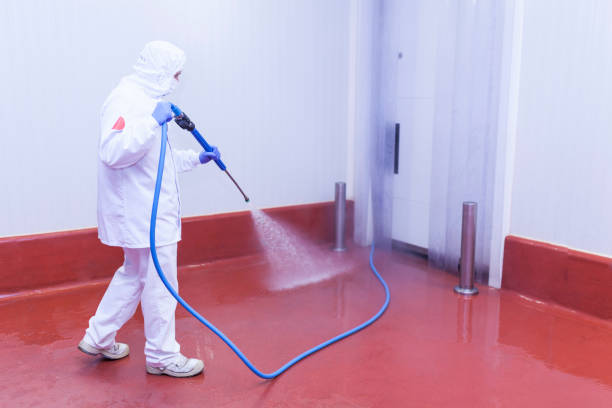 Trusted Creston, IA Pressure Washing Services Experts