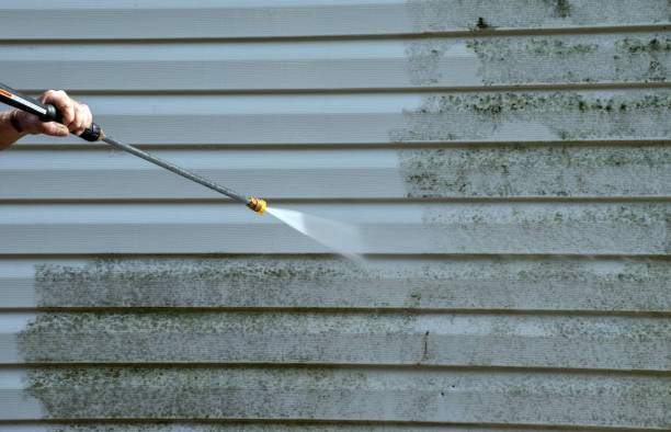 Best Brick and Stone Cleaning in Creston, IA