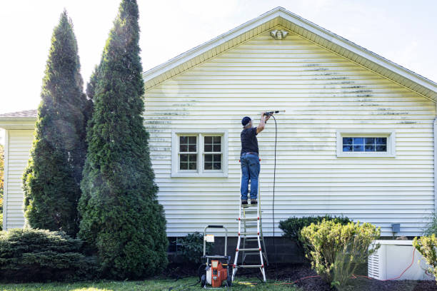 Best Deck and Patio Pressure Washing in Creston, IA