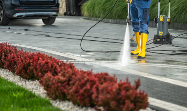 Best Vinyl Siding Pressure Washing in Creston, IA